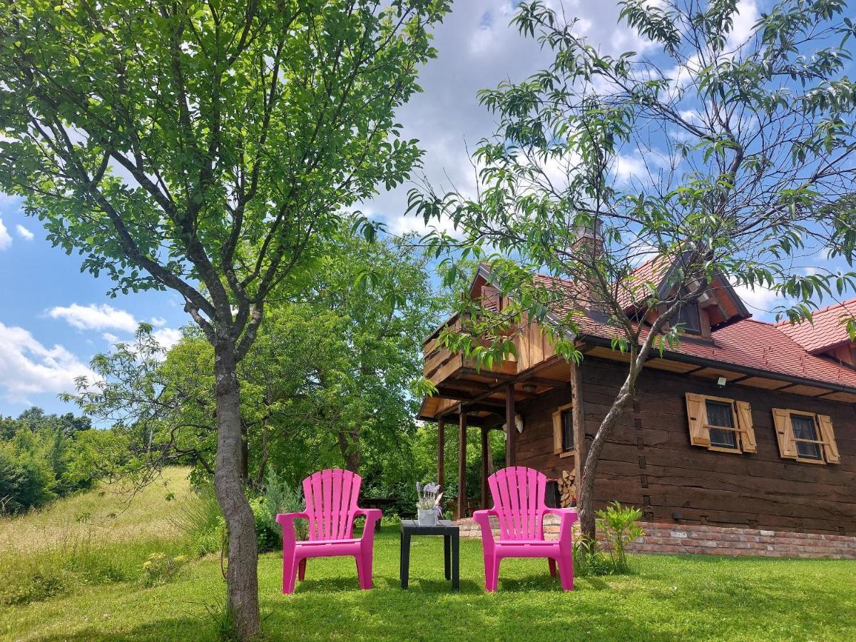 Rural Holiday House Tinna Biskupec Zelinski Buitenkant foto